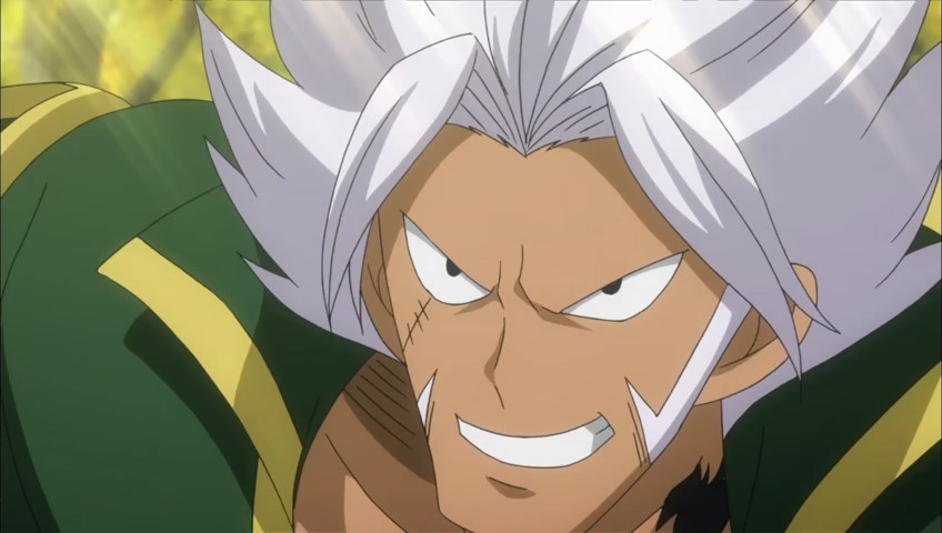 Fairy Tail episode 208